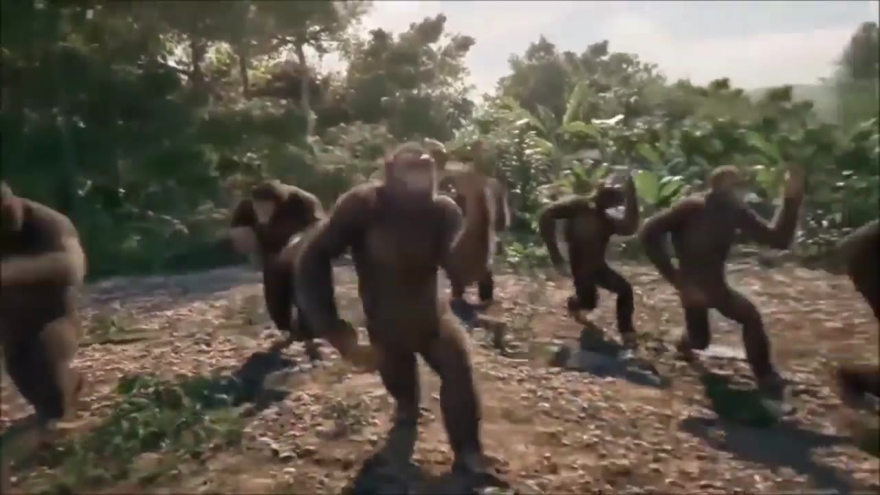 Ape Dancing