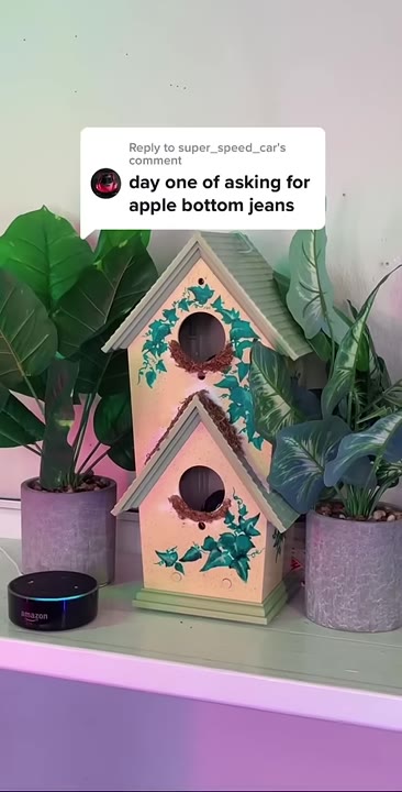 Apple Bottom Jeans