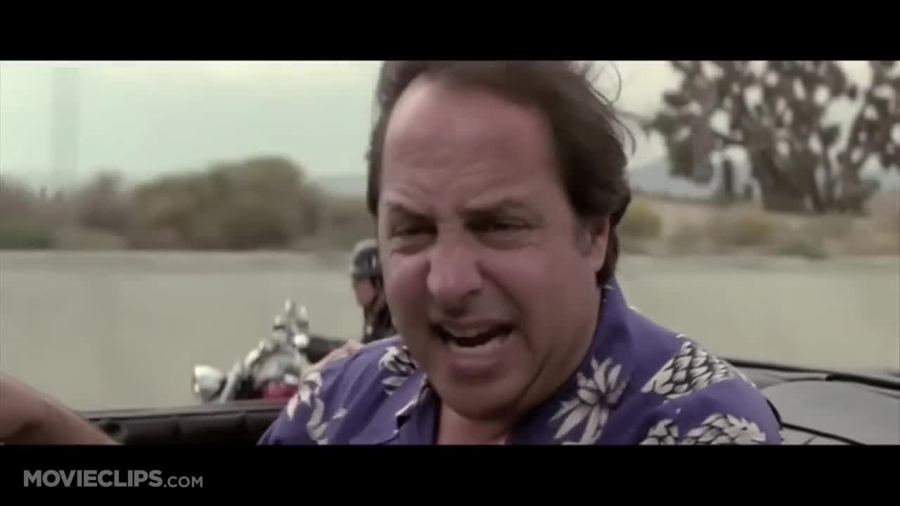 Are you insane?