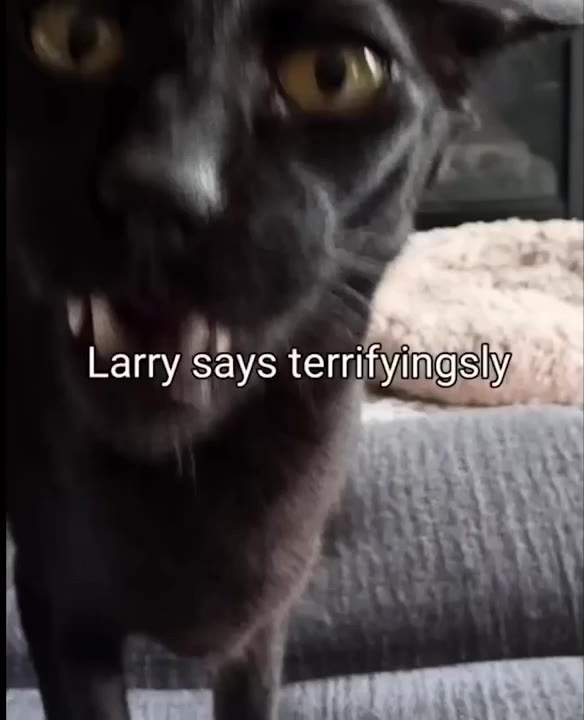 Black Cat Confronts Armored Larry