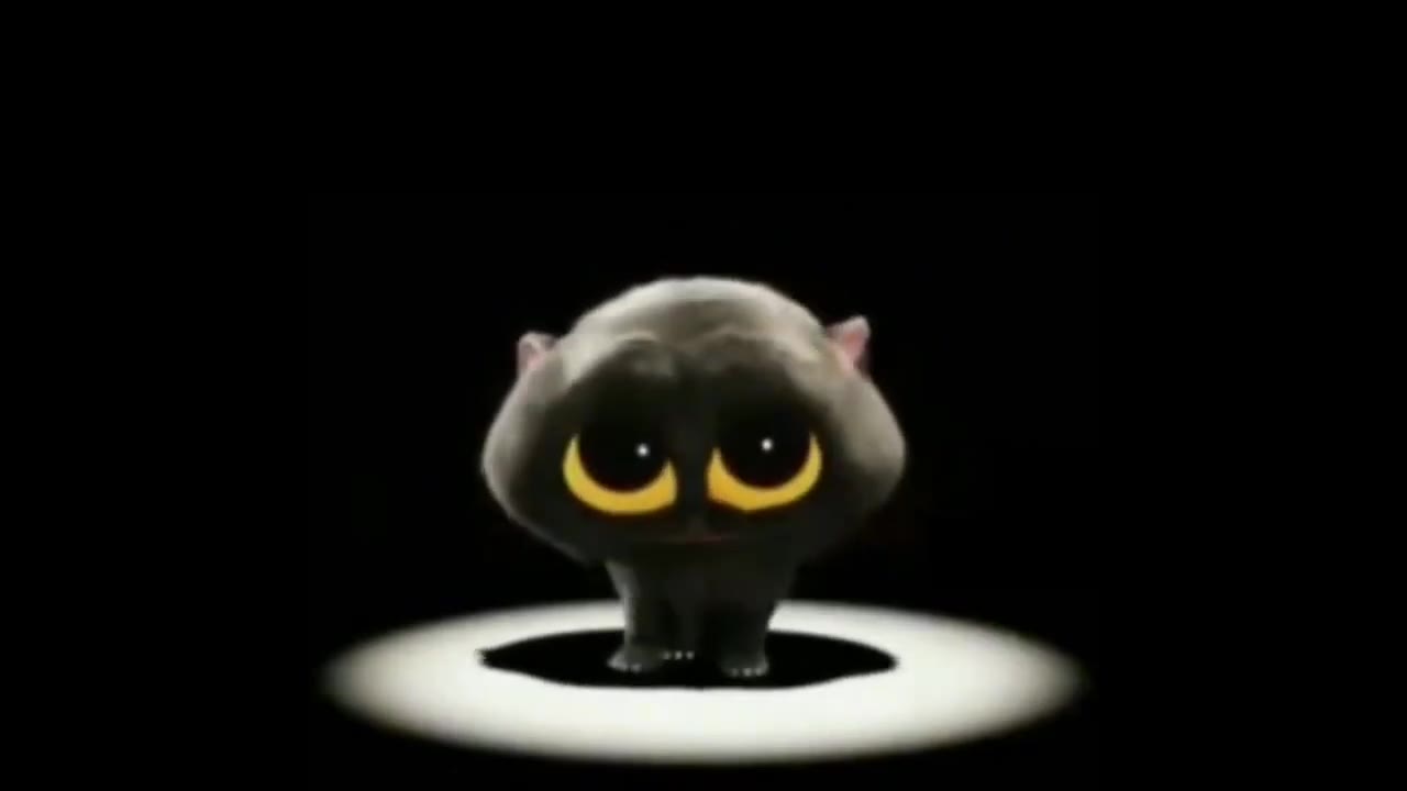 Black Cat Turning Away