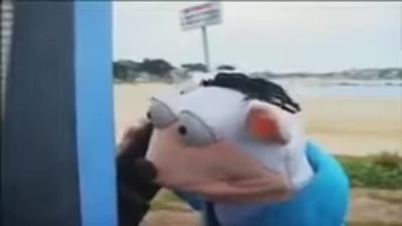 Blank Stare Beach Reaction