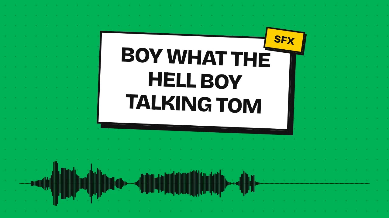 Boy What The Hell Boy Talking Tom