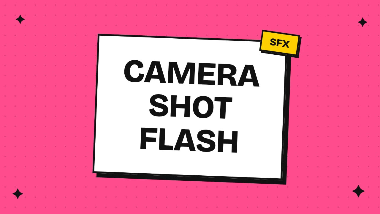 Camera Shot Flash