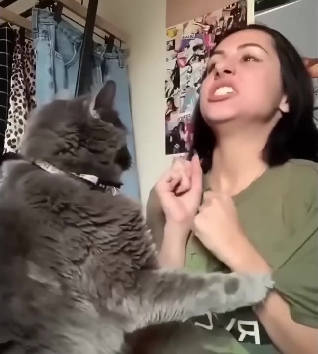 Cat Attacks Owners Face