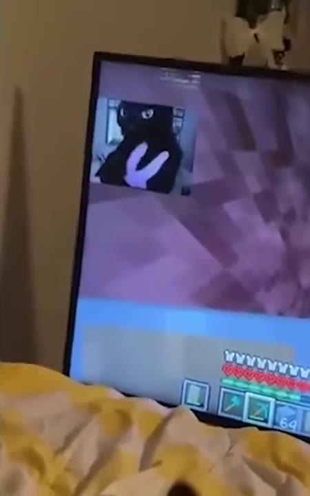 Cat Batting At Video Game