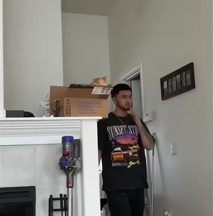 Cat Knocks Cardboard Box Off Shelf