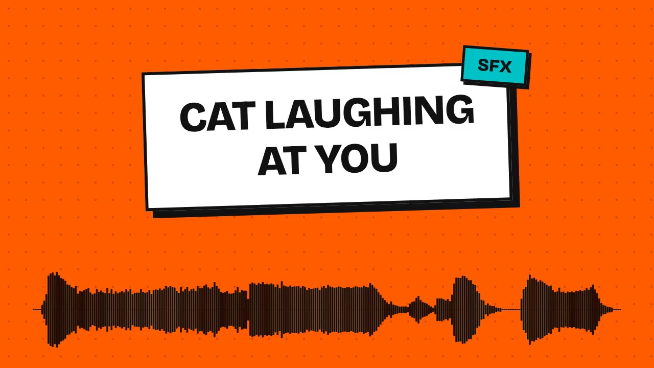 Cat Laughing At You