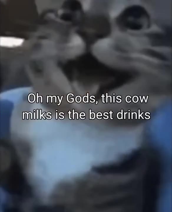 Cat Laughs About Milk