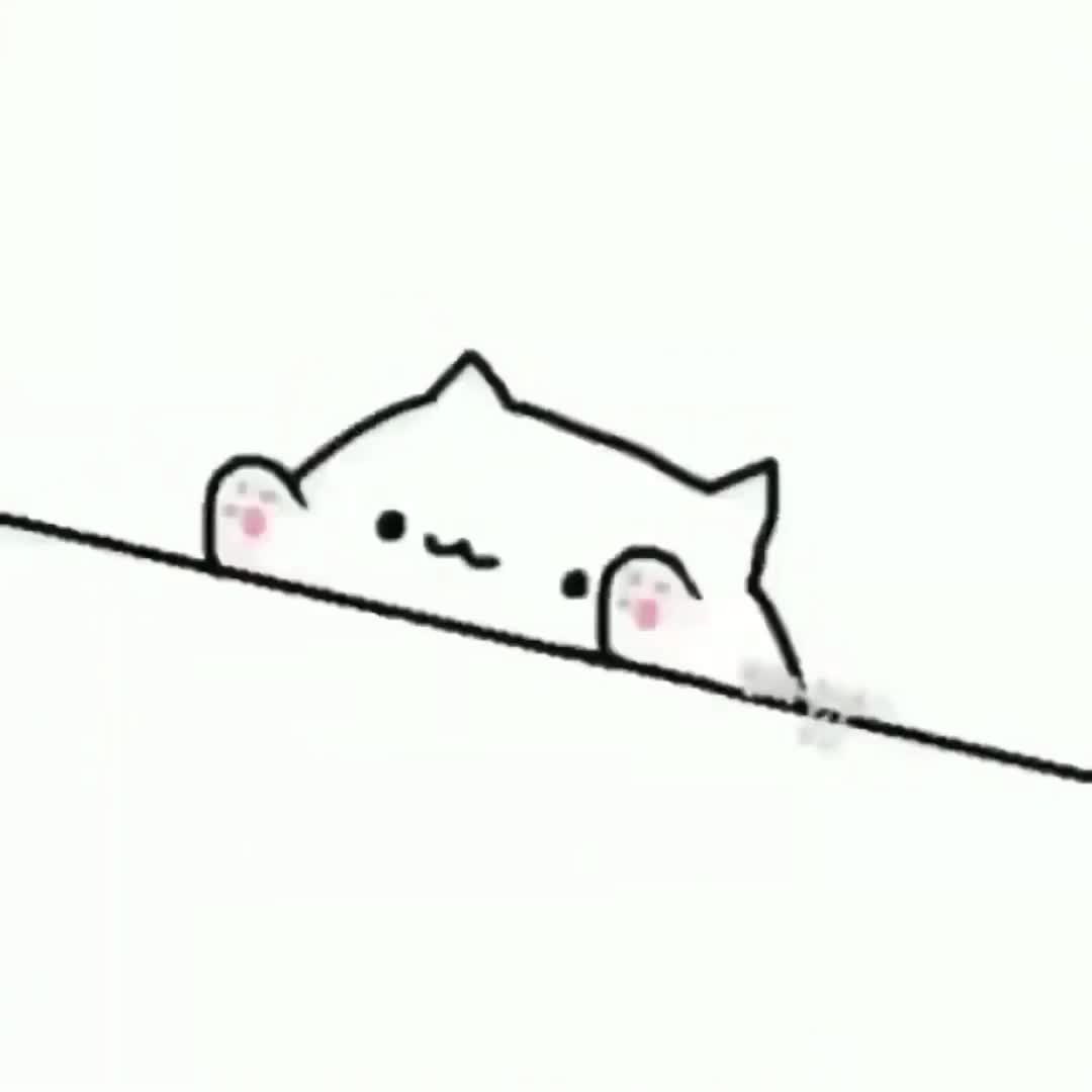 Cat Plays Drums