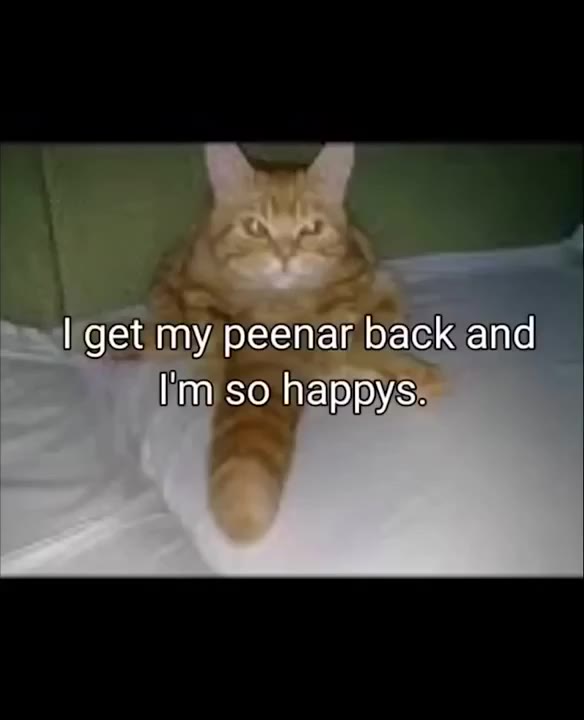 Cat Protects Stolen Peanuts