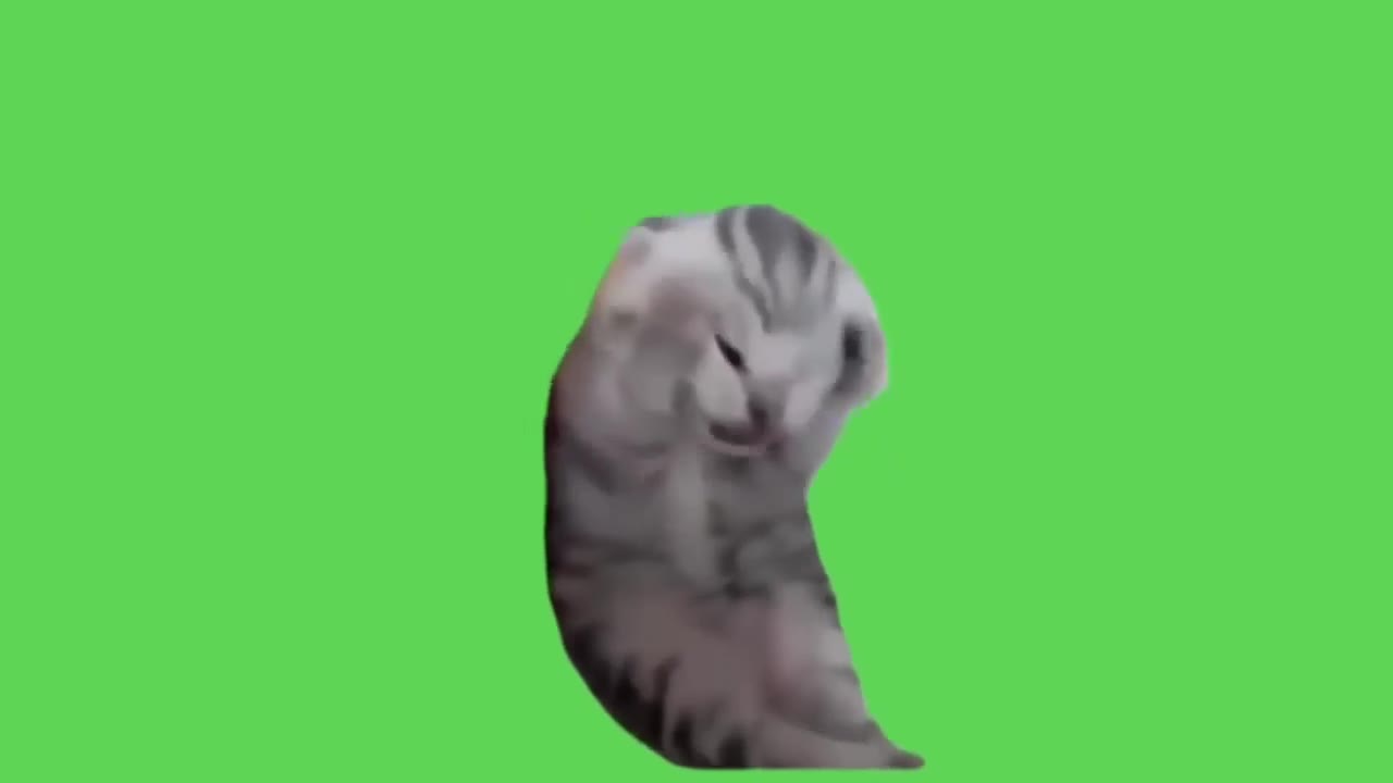 Cat Stretches Into Weird Ball
