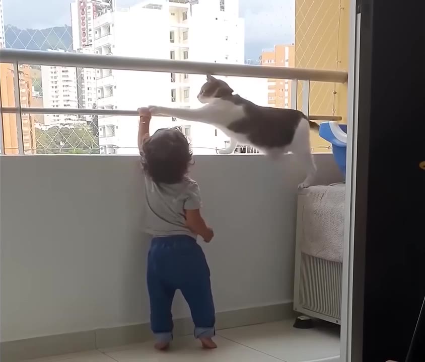 Cat Swats Reaching Child