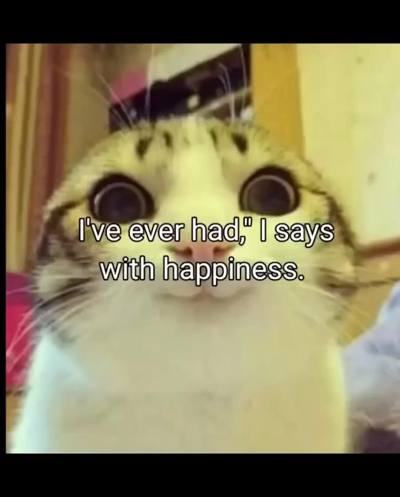 Cats Freaky Milk Reaction