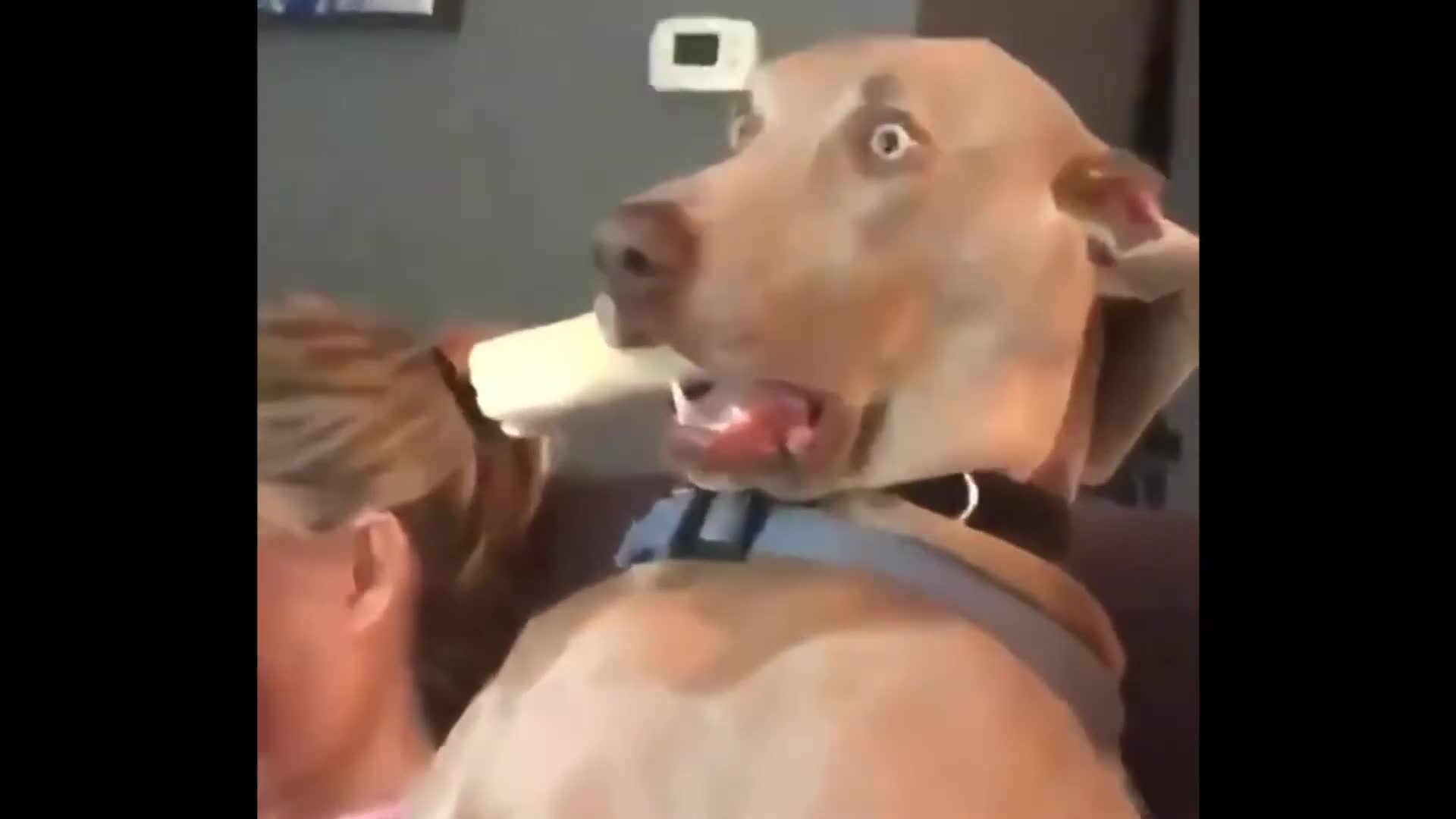 Complete shock