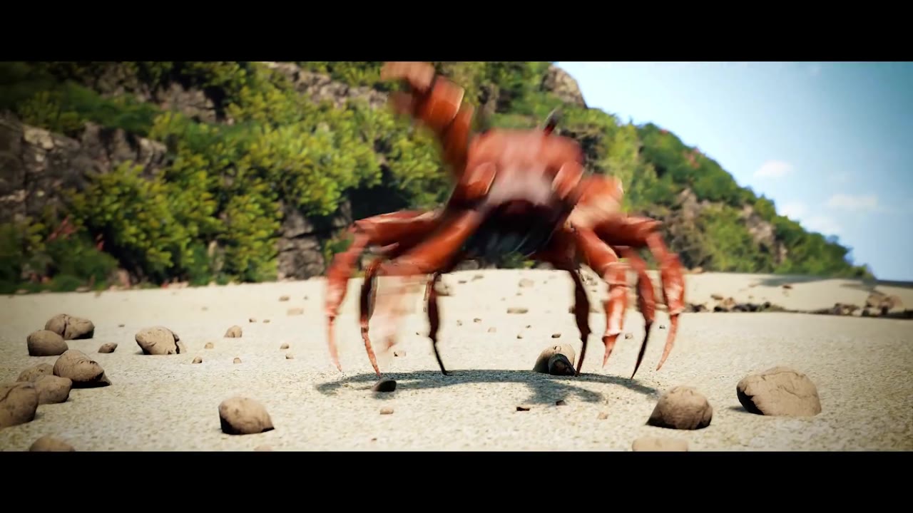 Dancing Crab