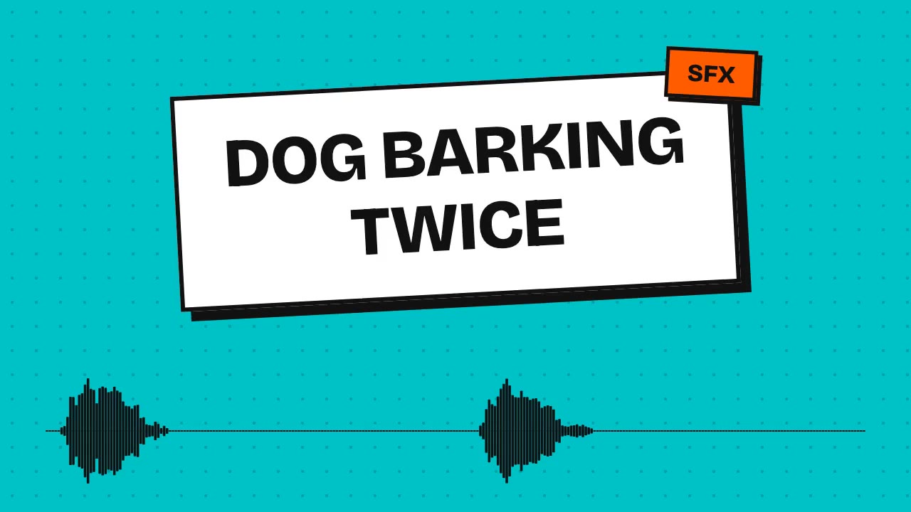 Dog Barking Twice