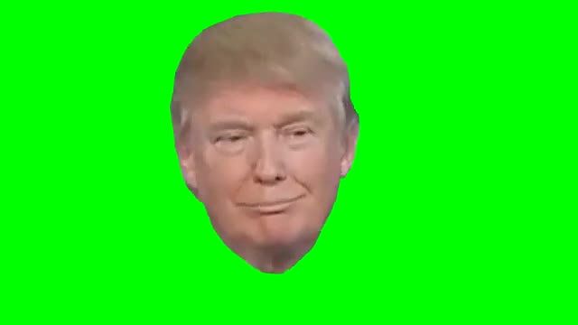 Donald Trump head