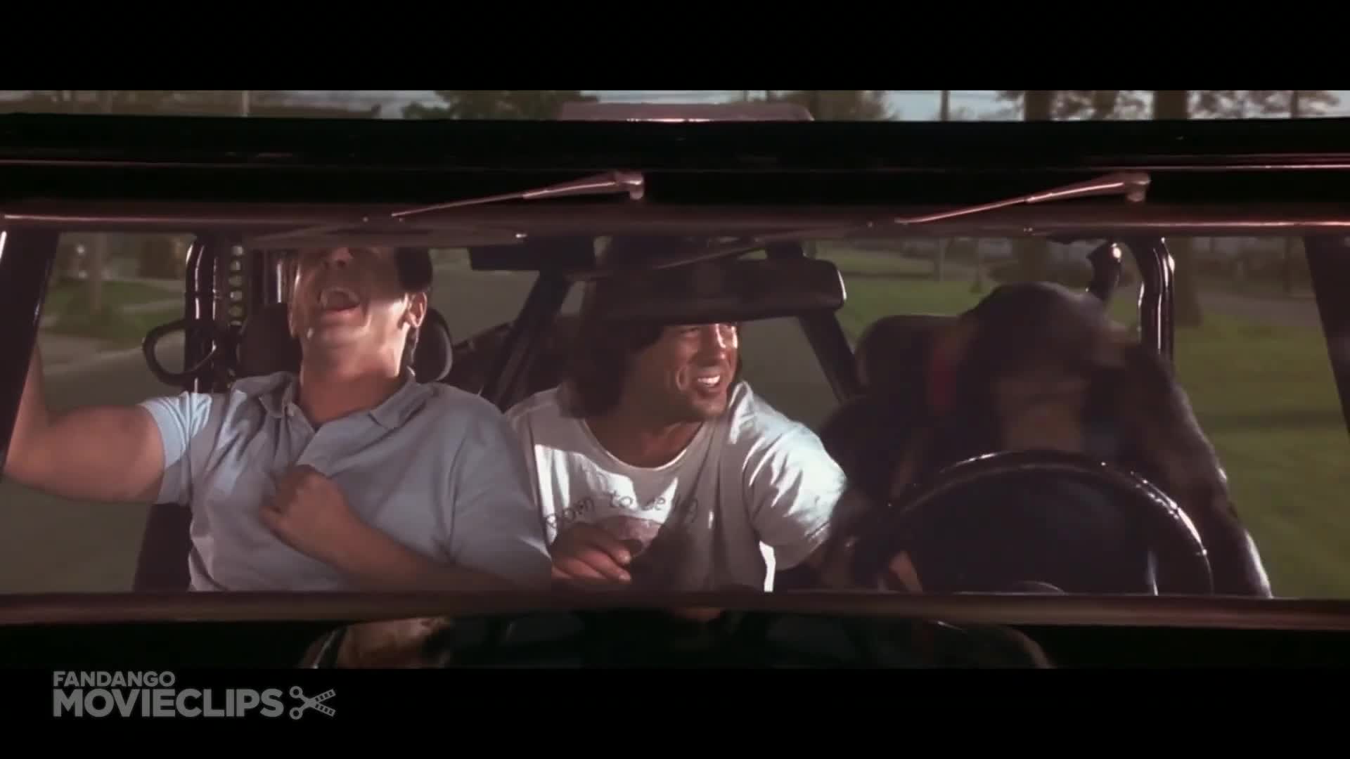 Drive monkey drive