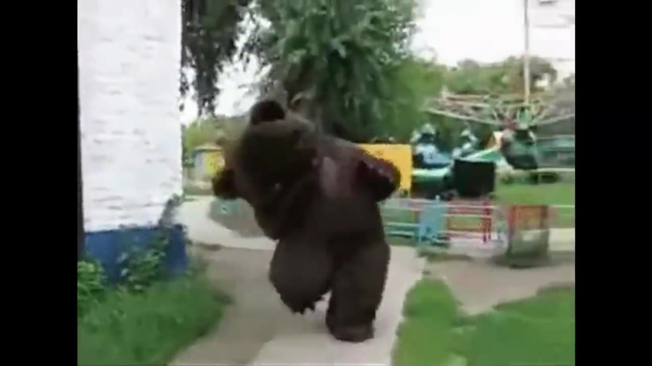 Drunk Bear Staggers