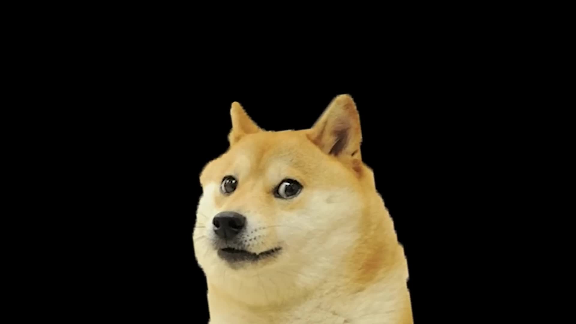 DUN DUN DUUUUN!!!