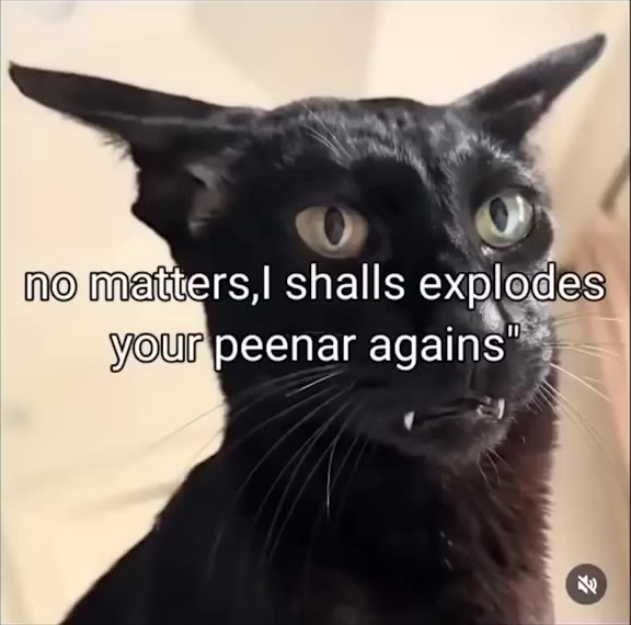 Evil Cat Plots Explosion