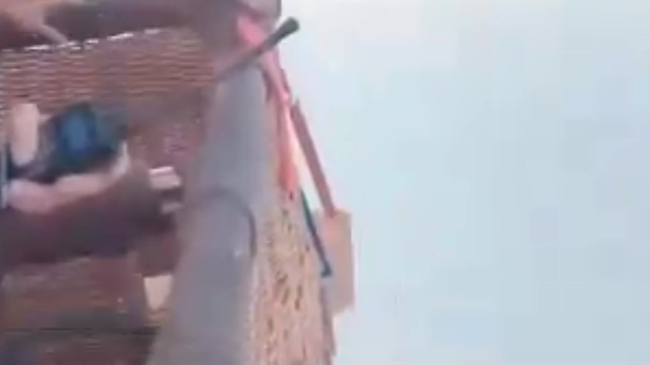 Failed Man