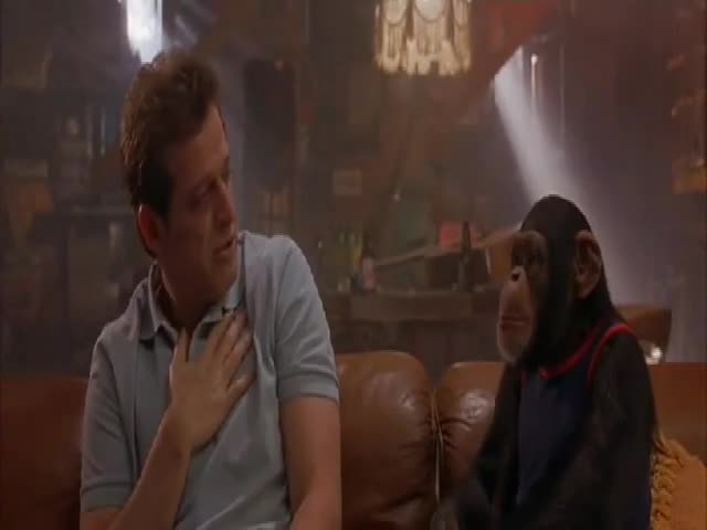 Don't judge me monkey!