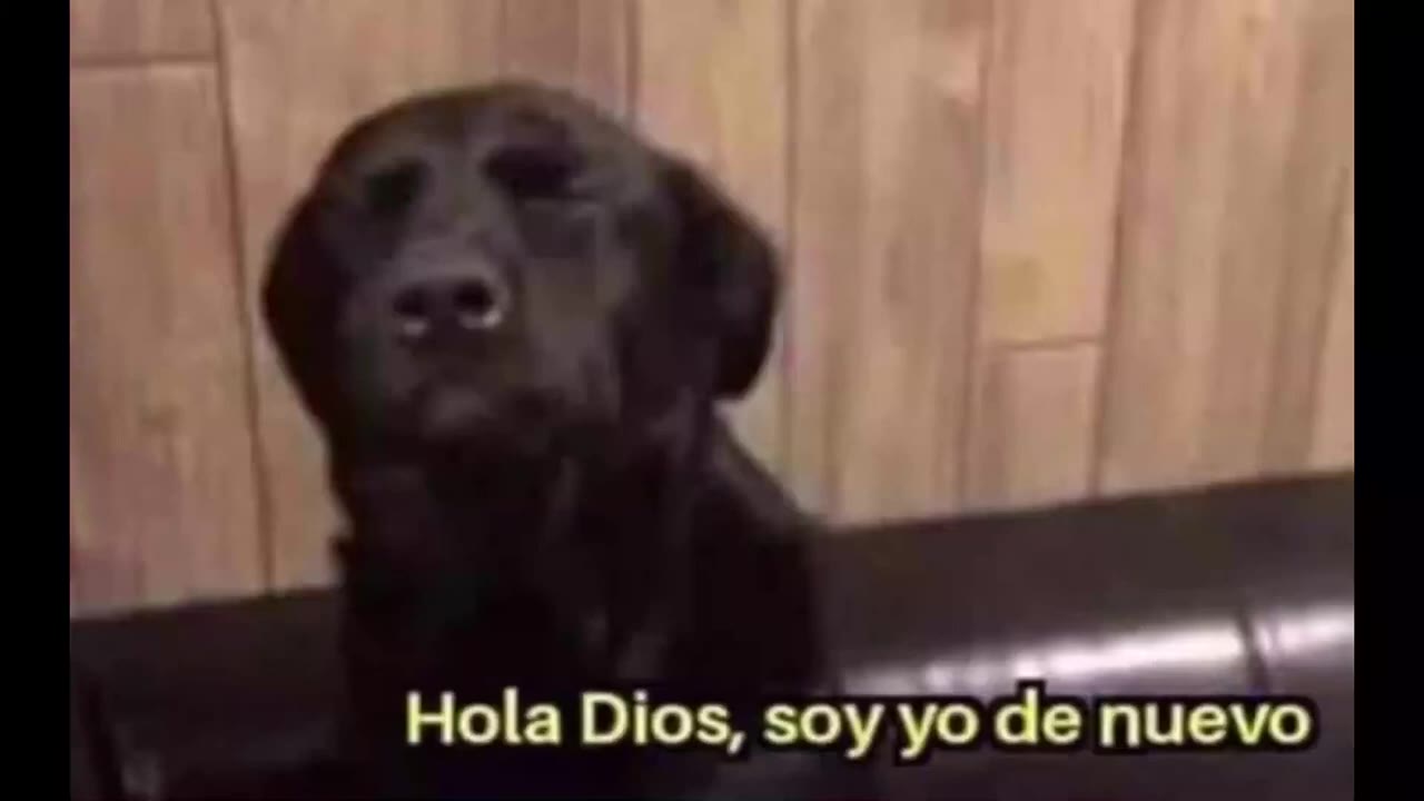 Hola Dios Wear Your Mask