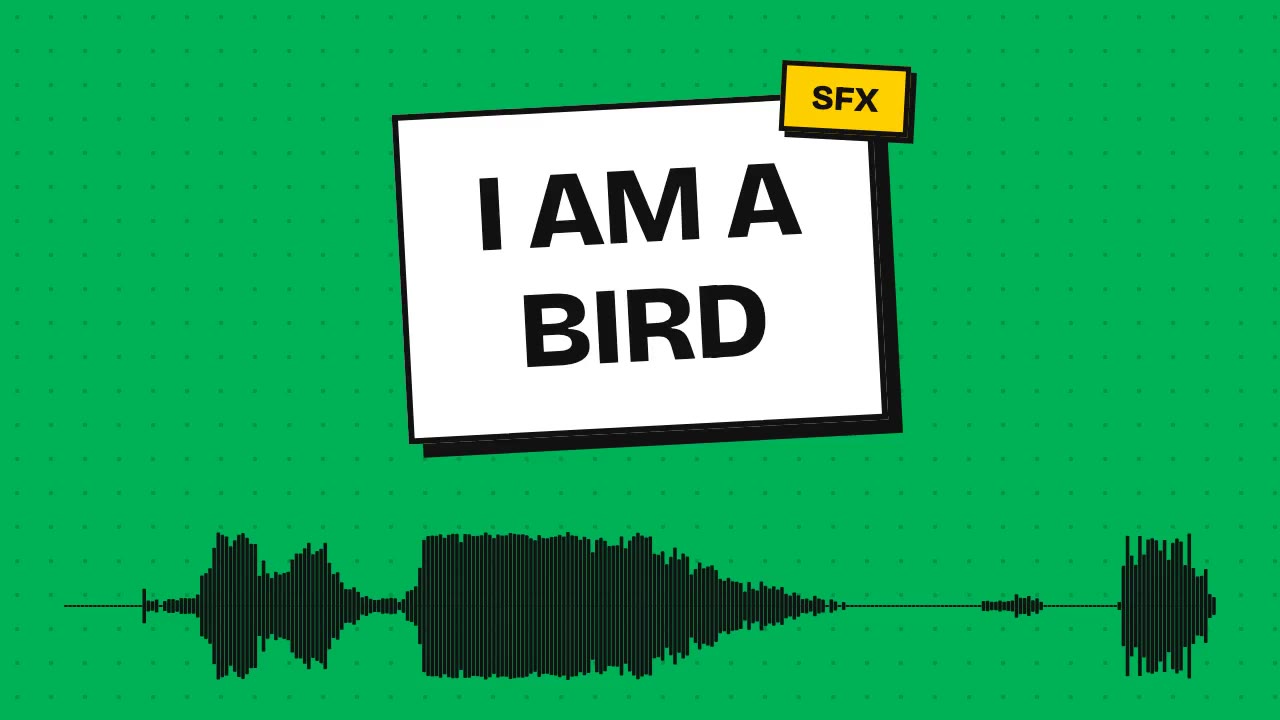 i am a bird