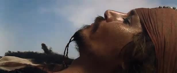 Wtf?