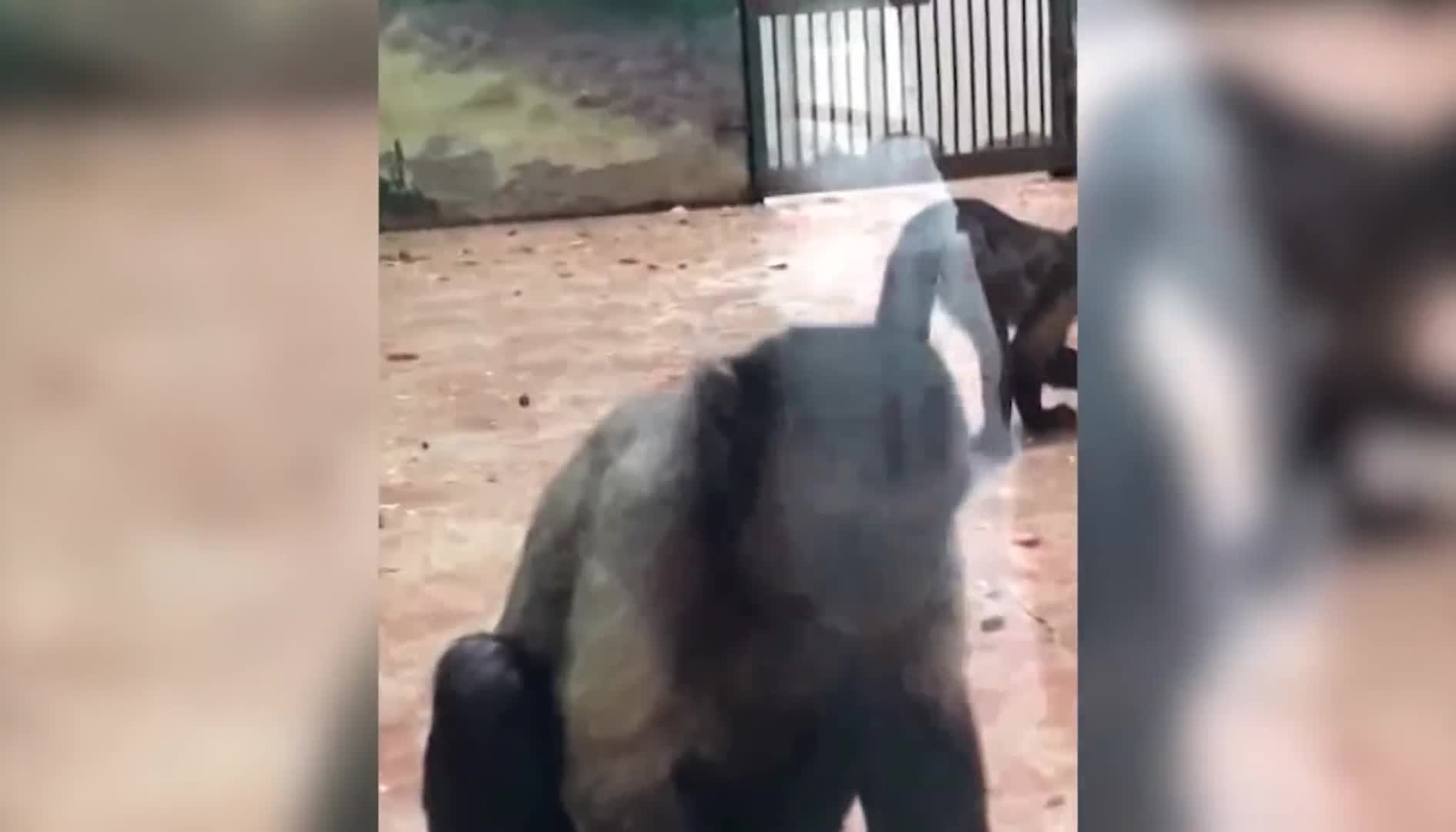 What's so funny?