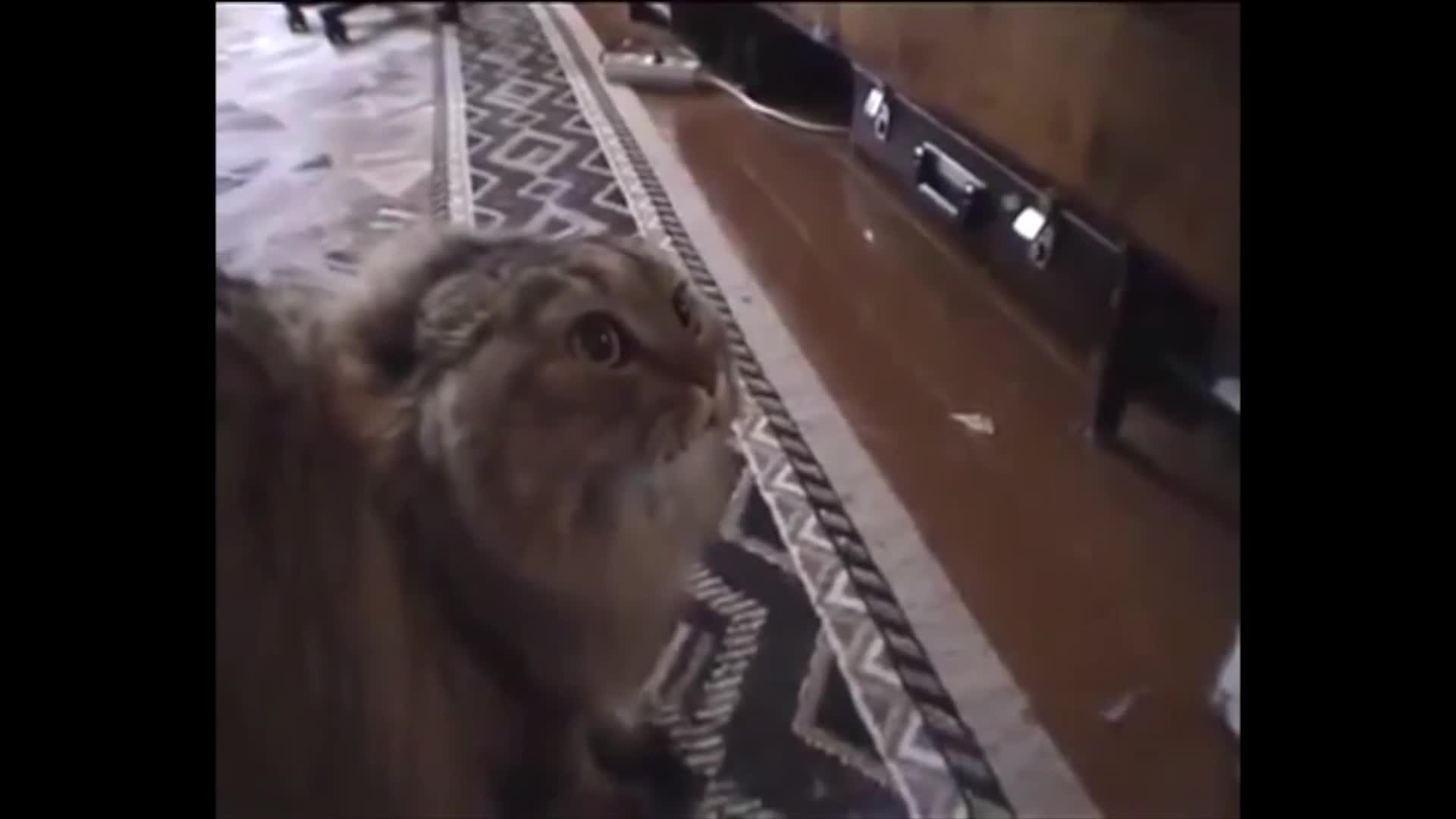 No No No