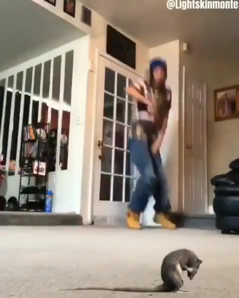 Oh shit, a rat!