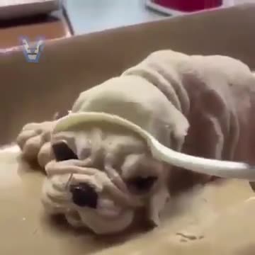 OMG