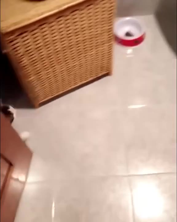 Paper Note Drops In Toilet