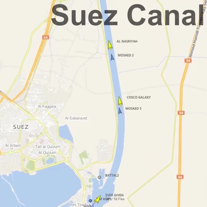 Penguins block Suez Canal