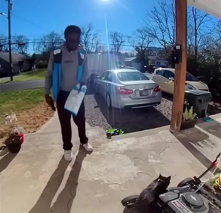 Cat Appears During Yard Work