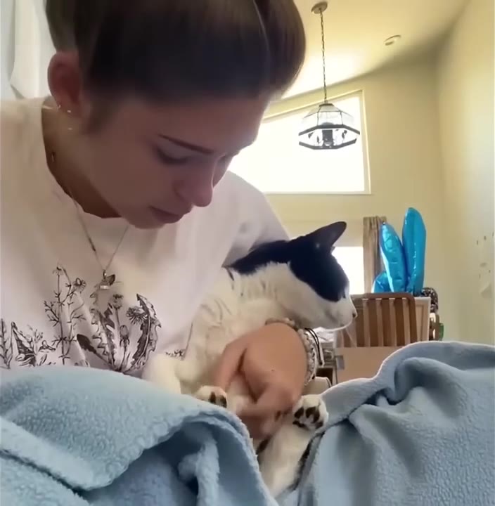 Person Playing With Kitten