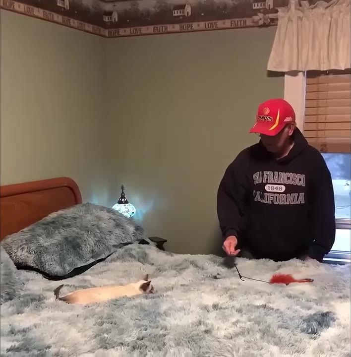 Person Plays With Tiny Kitten