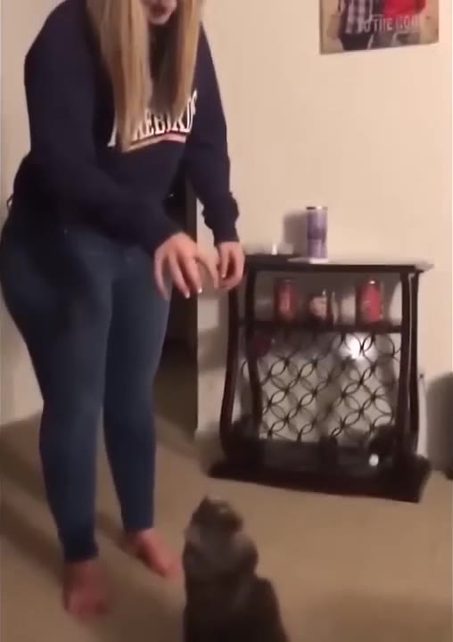 Person Reaches Toward Black Cat