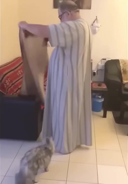 Person Wraps Fabric Around Cat