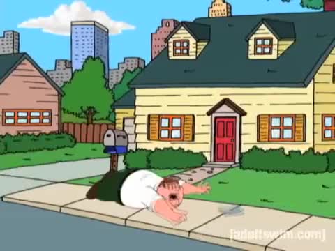 Petter falling loop