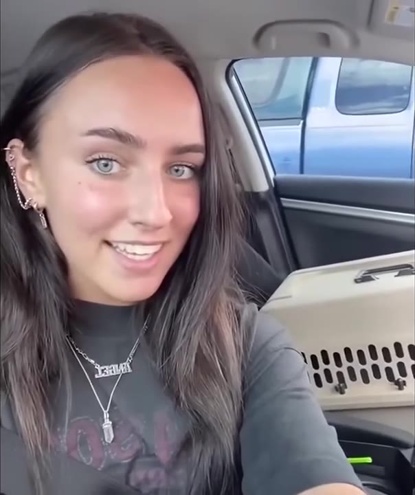 Satisfied Smirk In Car