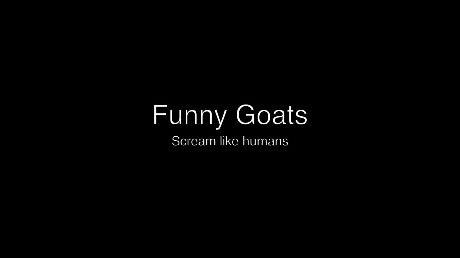 Screaming Goat