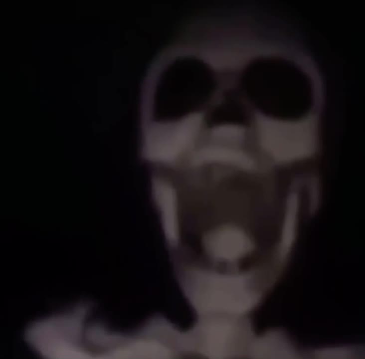 Skeleton Spinning On Fan And To Those I Love
