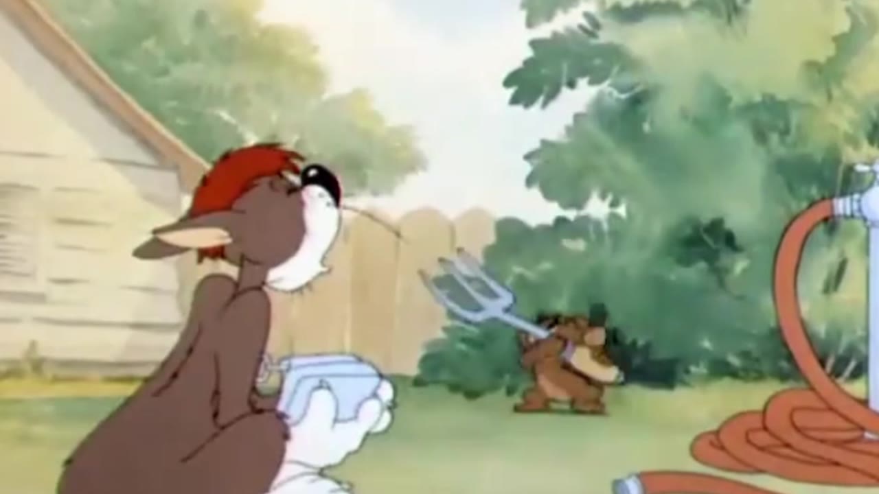 Sylvester Shocked