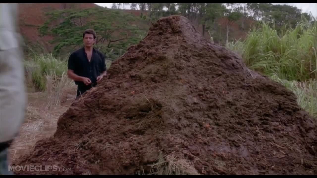 That is one big pile of shit