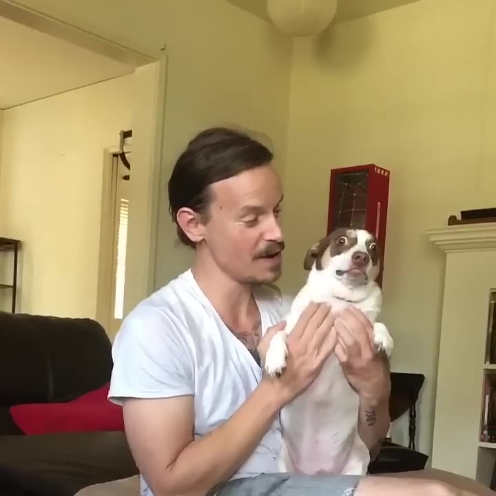 The Official Mr Bubz Video