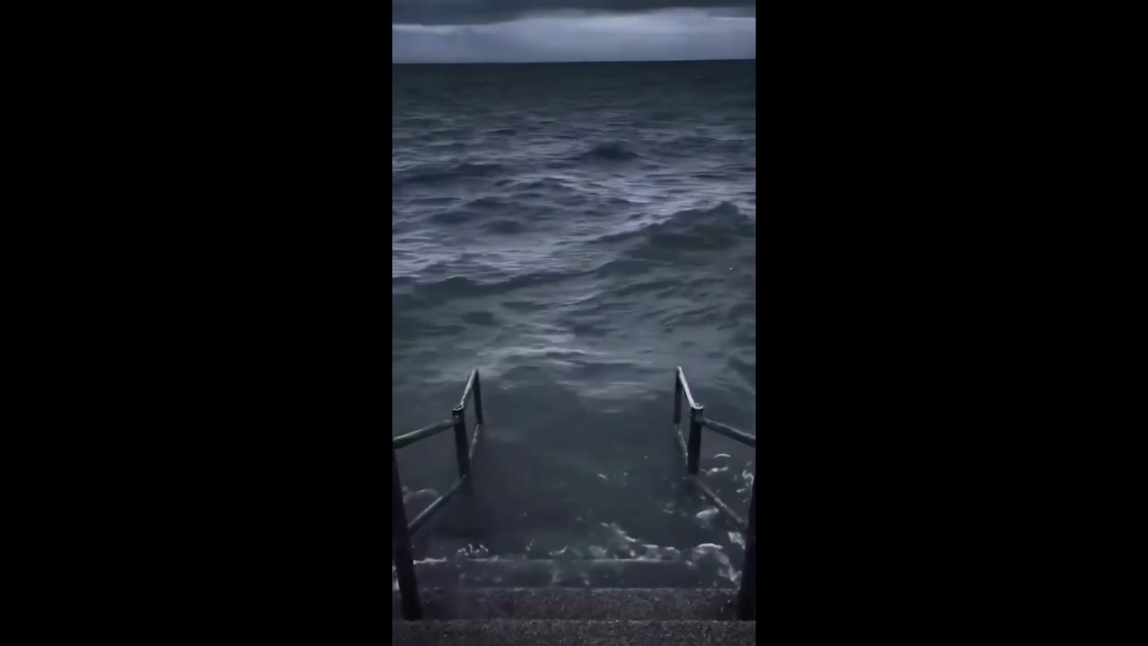 Two Sharks In Ocean